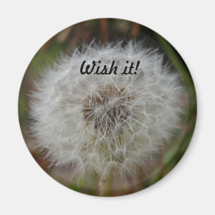 Íman Deseje-lhe o ímã