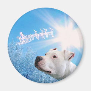 Íman Desejo branco do Natal do cão de PItbull