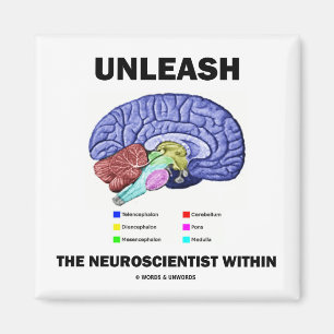 Íman Desencadeie o neurocientista dentro (a anatomia do