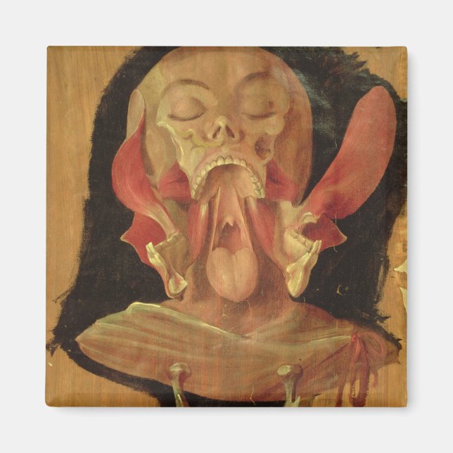 Íman Desenho anatômico da cabeça (Frente)