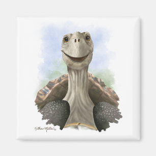 Íman Desenho Animado de Tartaruga Divertido