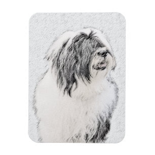 Íman Desenho Collie Com Carapaça - Arte Cachorra Origi