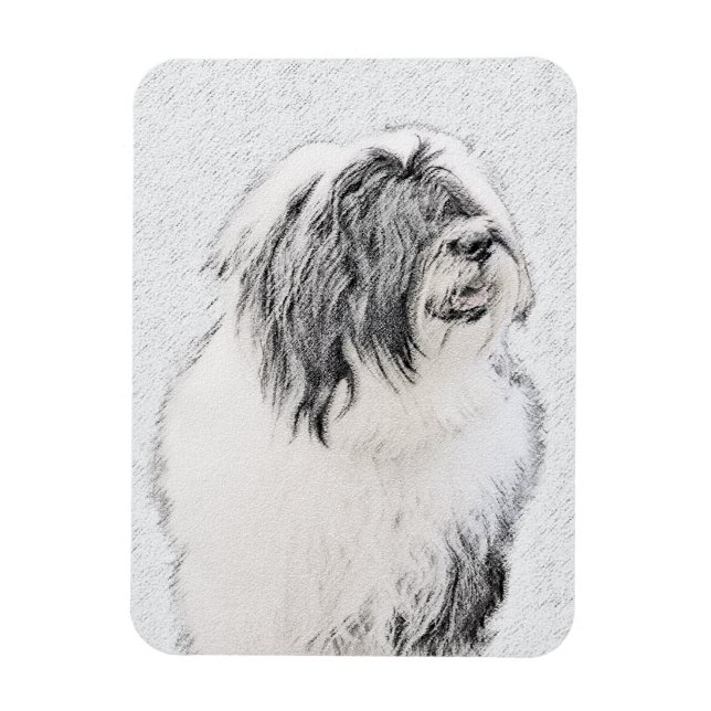 Íman Desenho Collie Com Carapaça - Arte Cachorra Origin (Vertical)