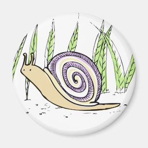 Íman Desenho De Caracol Desenho De Mão Cortada