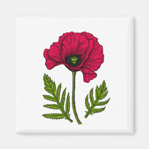 Íman Desenho de papoila vermelha 3