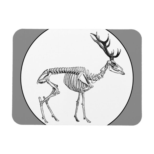 Íman Desenho de rena de esqueleto de safra (Horizontal)