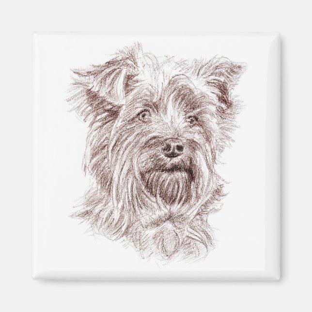 Íman Desenho de Yorkshire Terrier (Frente)