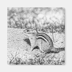 Íman Desenho do Chipmunk