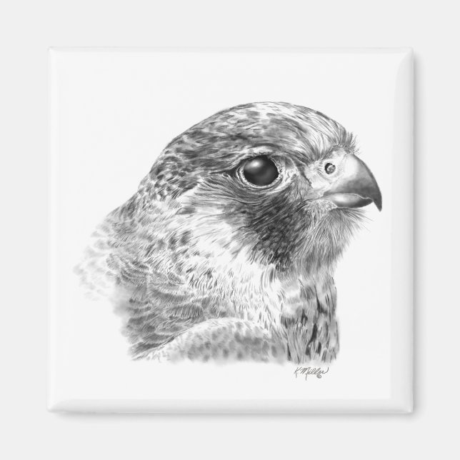 Íman Desenho do Falcão do Lanner (Frente)