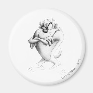 Íman Desenho do TAZ™