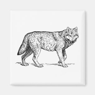 Íman Desenho Elegante de Tinta cinza Wolf