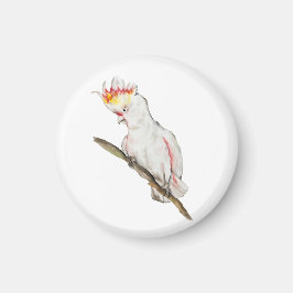 Íman Desenho em aquarela de um papagaio-católico