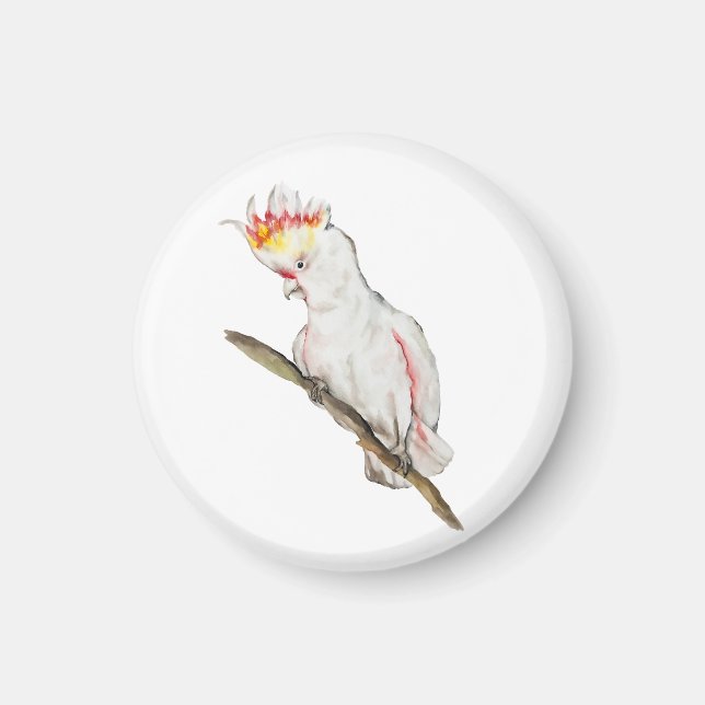 Íman Desenho em aquarela de um papagaio-católico (Frente)