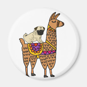 Íman Desenhos animados engraçados do lama da equitaç