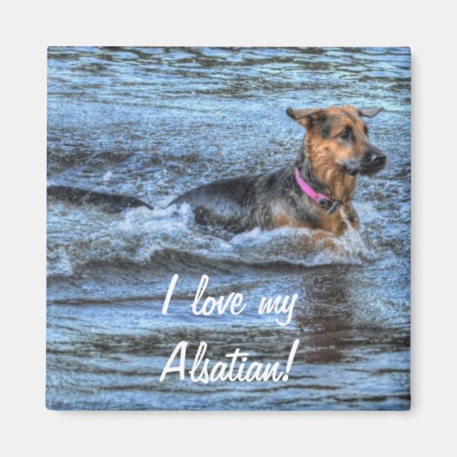 Íman Desenhos de cães para amantes de animais de compan (Frente)