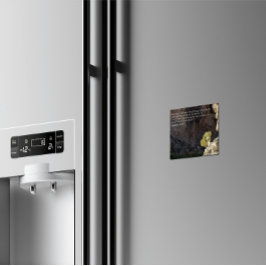 Íman Desert Faith Collection Isaiah 43:19 KJV