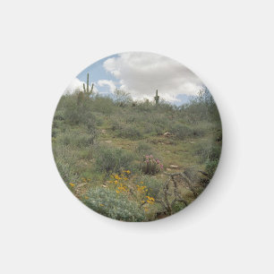 Íman Desert Symphony Desert Refrigerator Magnet