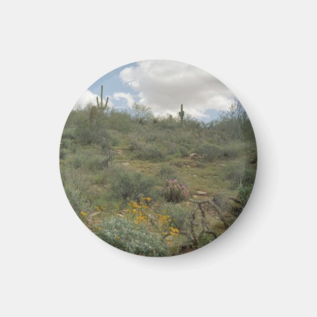 Íman Desert Symphony Desert Refrigerator Magnet (Frente)