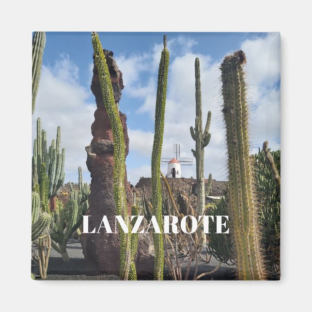 Íman “Desert Windmill and Cactus” Magnet (Frente)