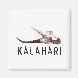 Íman Deserto de Kalahari em África: Crânio inoperante