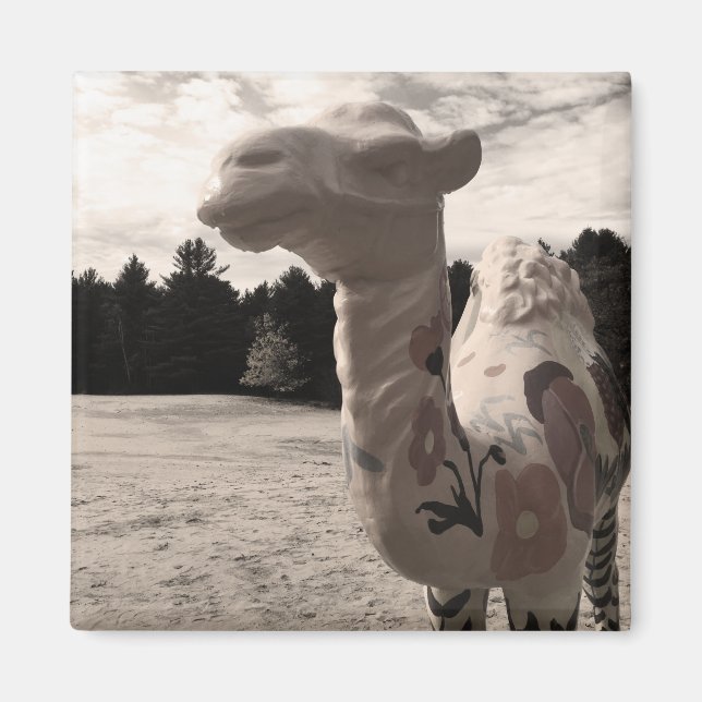 Íman deserto de minas (Frente)