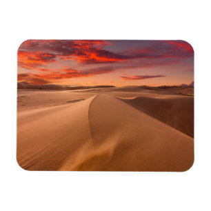 Íman Desertos Desert Emirados Árabes Unidos
