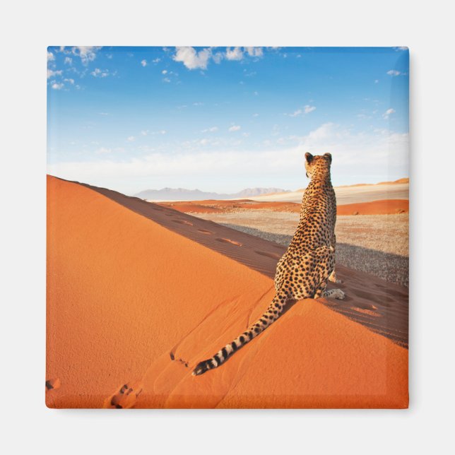 Íman Desertos | Deserto Cheetah Savannah (Frente)