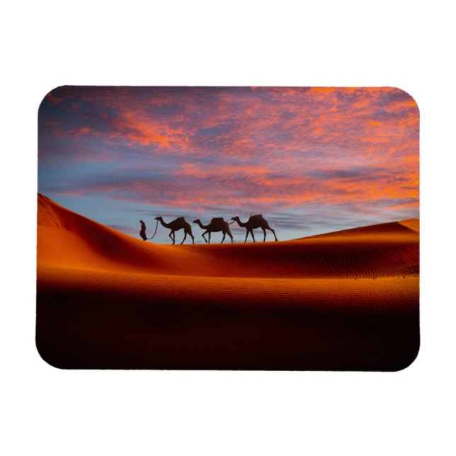 Íman Desertos | Man & Camels in the Sand Dunes (Horizontal)