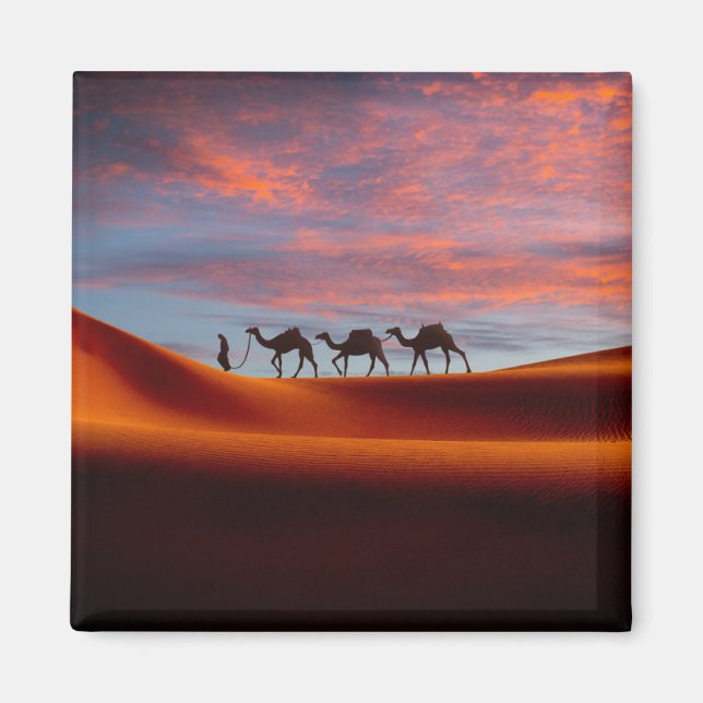 Íman Desertos | Man & Camels in the Sand Dunes (Frente)