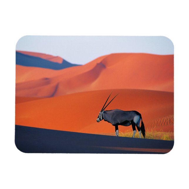 Íman Desertos | Namib Desert Oryx (Horizontal)