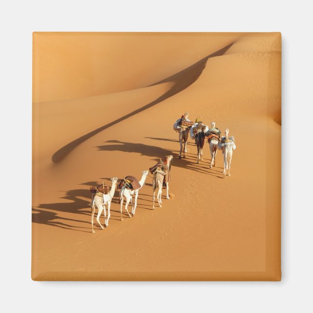 Íman Desertos | Tuareg Walk com Camels (Frente)