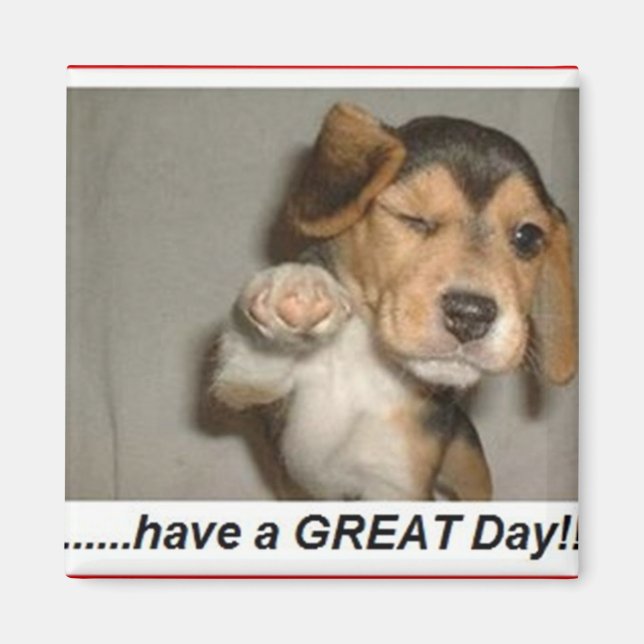 Íman desfrute do dia (Frente)