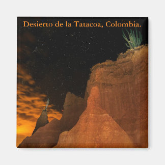 Íman Desierto en la noche, Tatacoa, Colombia.