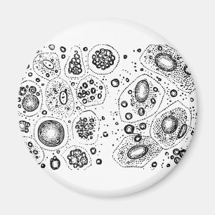 Íman Design celular