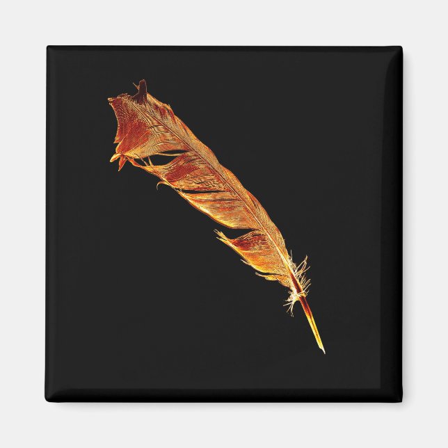 Íman Design de Crow-lover amante de pássaros de penas q (Frente)