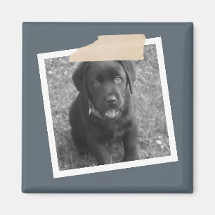 Íman Design de Fita Personalizada e Quadro de Fotos