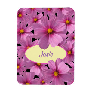 Íman Design de Flor do Cosmos Roxo em um Fundo Preto