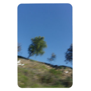 Íman Design de fluxo ecológico do ímã de fotos flexível