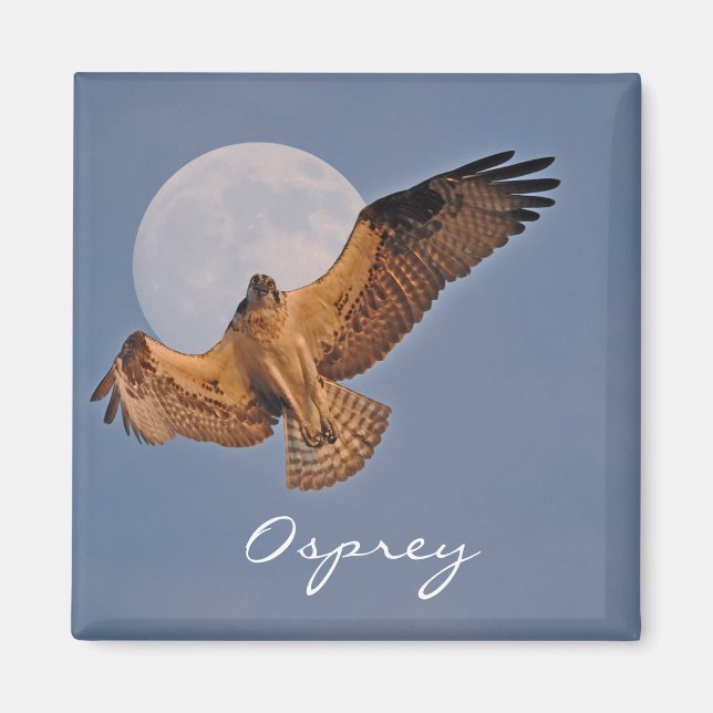 Íman Design de Foto de Osprey e Super Moon (Frente)