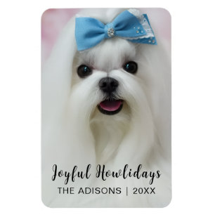 Íman Design de Natal de Cachorro Moderno Férias da Pata