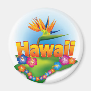 Íman Design do ímã de Havaí