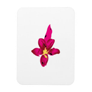 Íman Design, Dourado claro, vermelho púrpura