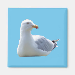 Íman Design Encantador de Gaivota em Repouso sob o Céu 