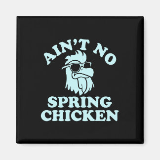 Íman Design Engraçado Não é Frango Primavera 