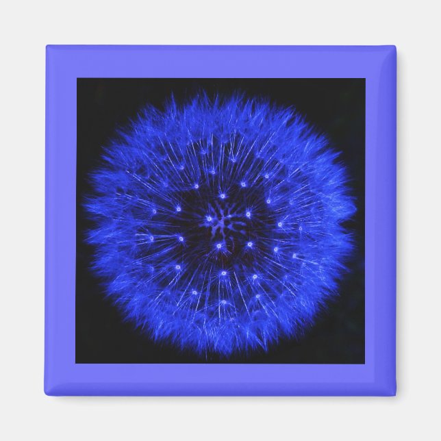 Íman Design Magnet de Dandelion Azul (Frente)