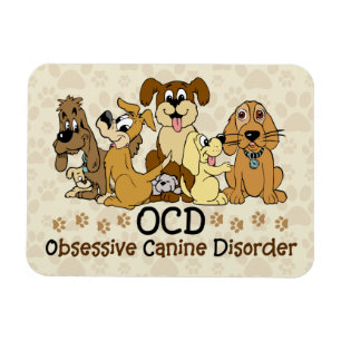 Íman Desordem canina obsessiva de OCD