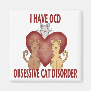 Íman Desordem obsessiva do gato