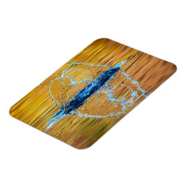 Íman Despejo na noite de outono