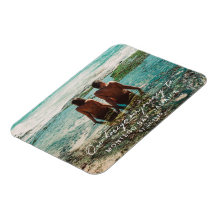 Destino do Script Branco da Lua de Honra de Casame