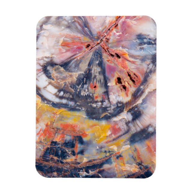 Íman Detalhe da madeira Petrificada, Arizona (Vertical)